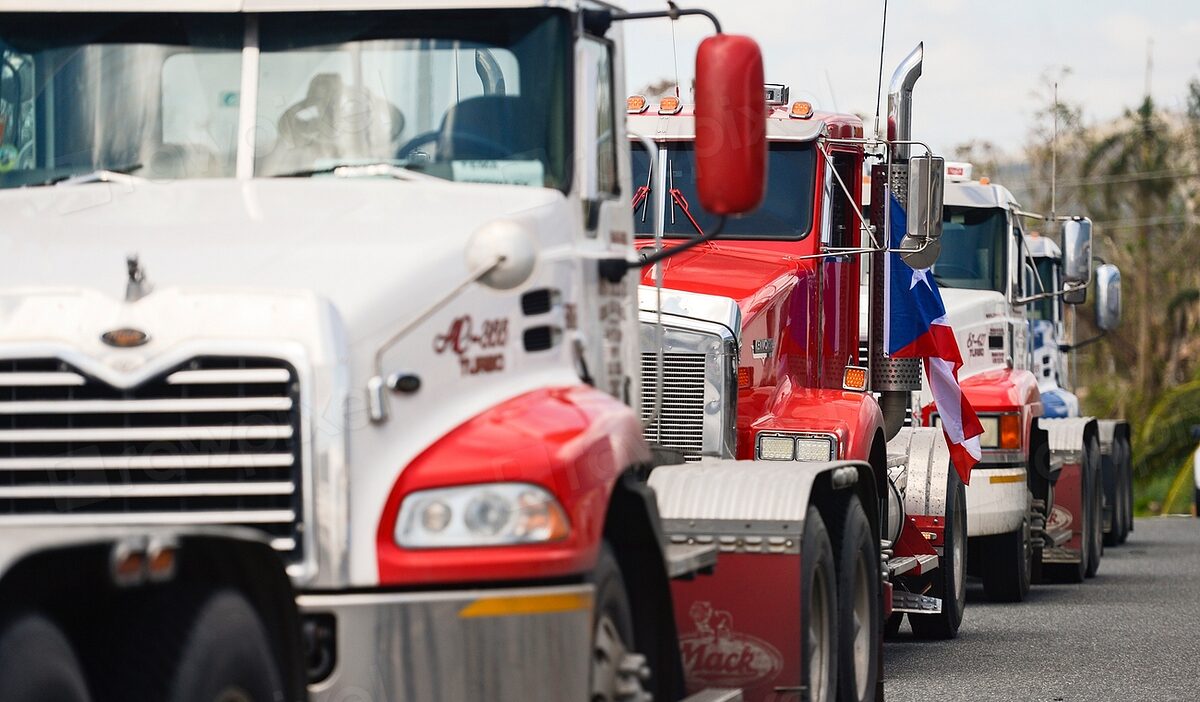 Line of heavy duty semi trucks ready for service